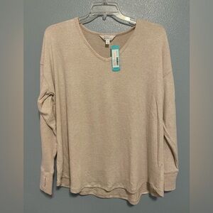 NWT Market & Spruce Off-White V-Neck Knit Top 1X